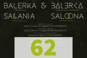 פונטים מקצועיים