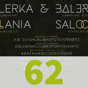 פונטים מקצועיים