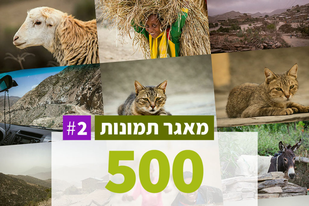 מאגרי תמונות בזול