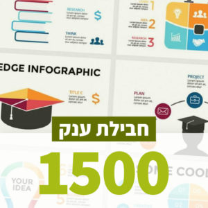 אינפוגרפיקה