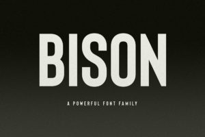 bison font