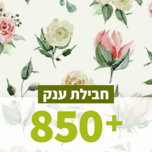 איורים בצבעי מים בזול