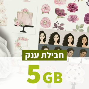 חבילת עיצוב הזמנה לחתונה בהתאמה אישית